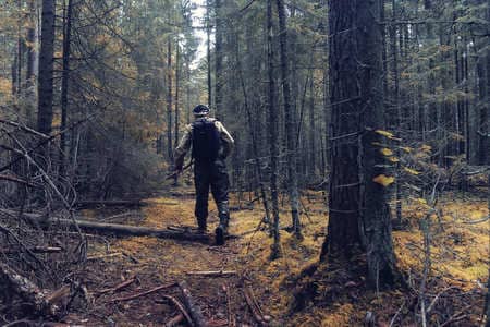 Купить диплом Егеря, лесника в Кисловодске